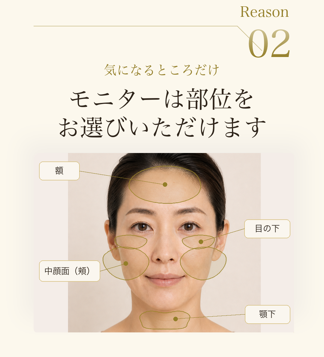 Reason 02。気になるところだけ。モニターは部位をお選びいただけます。正面の顔写真で、額・目元・中顔面（頬）・顎下の4部位を示した施術エリア図。