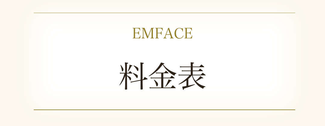 EMFACE 料金表