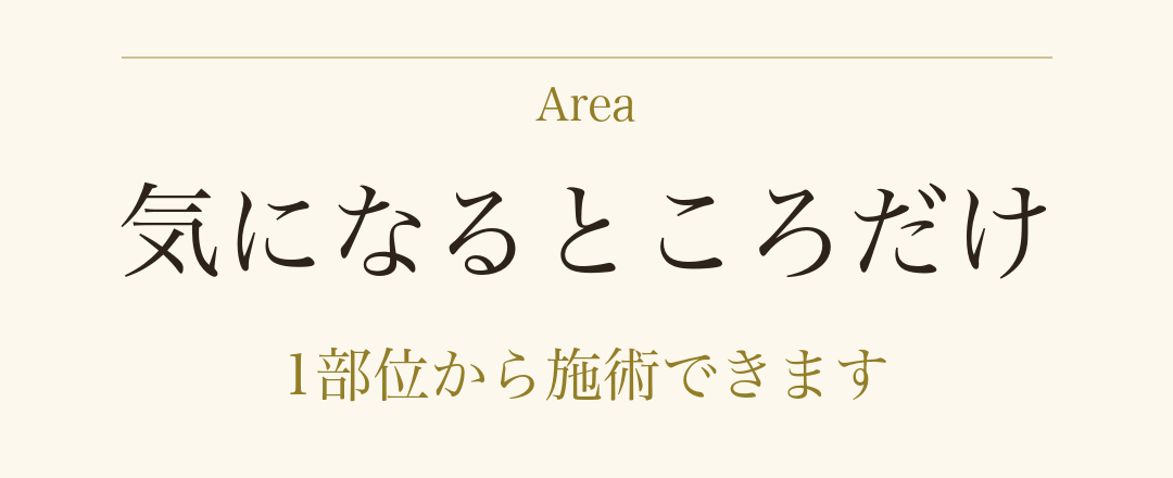 気になるところだけ。1部位から施術できます。